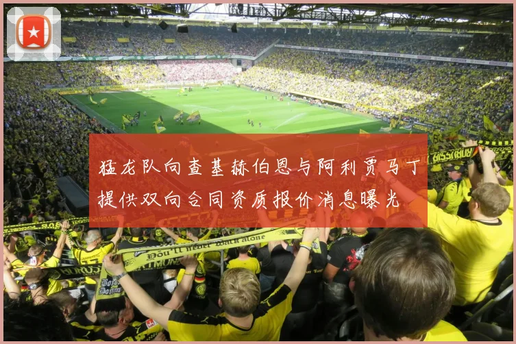 猛龙队向查基赫伯恩与阿利贾马丁提供双向合同资质报价消息曝光
